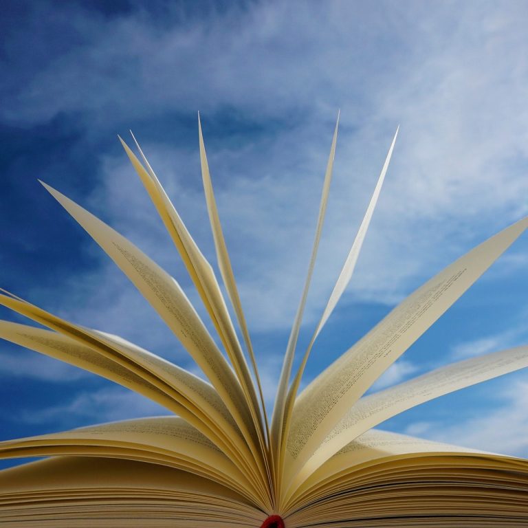 Ein geöffnetes Buch. Bild von Michaele auf Pixabay